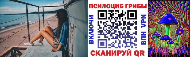 Псилоцибиновые грибы прущие грибы  Иноземцево 
