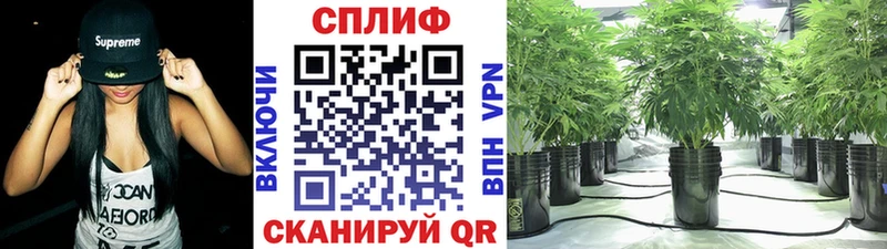 Бошки Шишки White Widow  купить наркоту  kraken ССЫЛКА  Иноземцево 